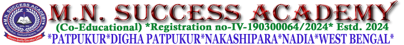 M.N. SUCCESS ACADEMY